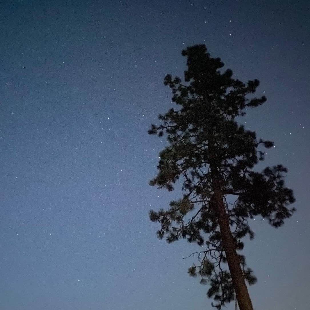 Porcupine Bay Campground Lake Roosevelt National Rec Area Camping