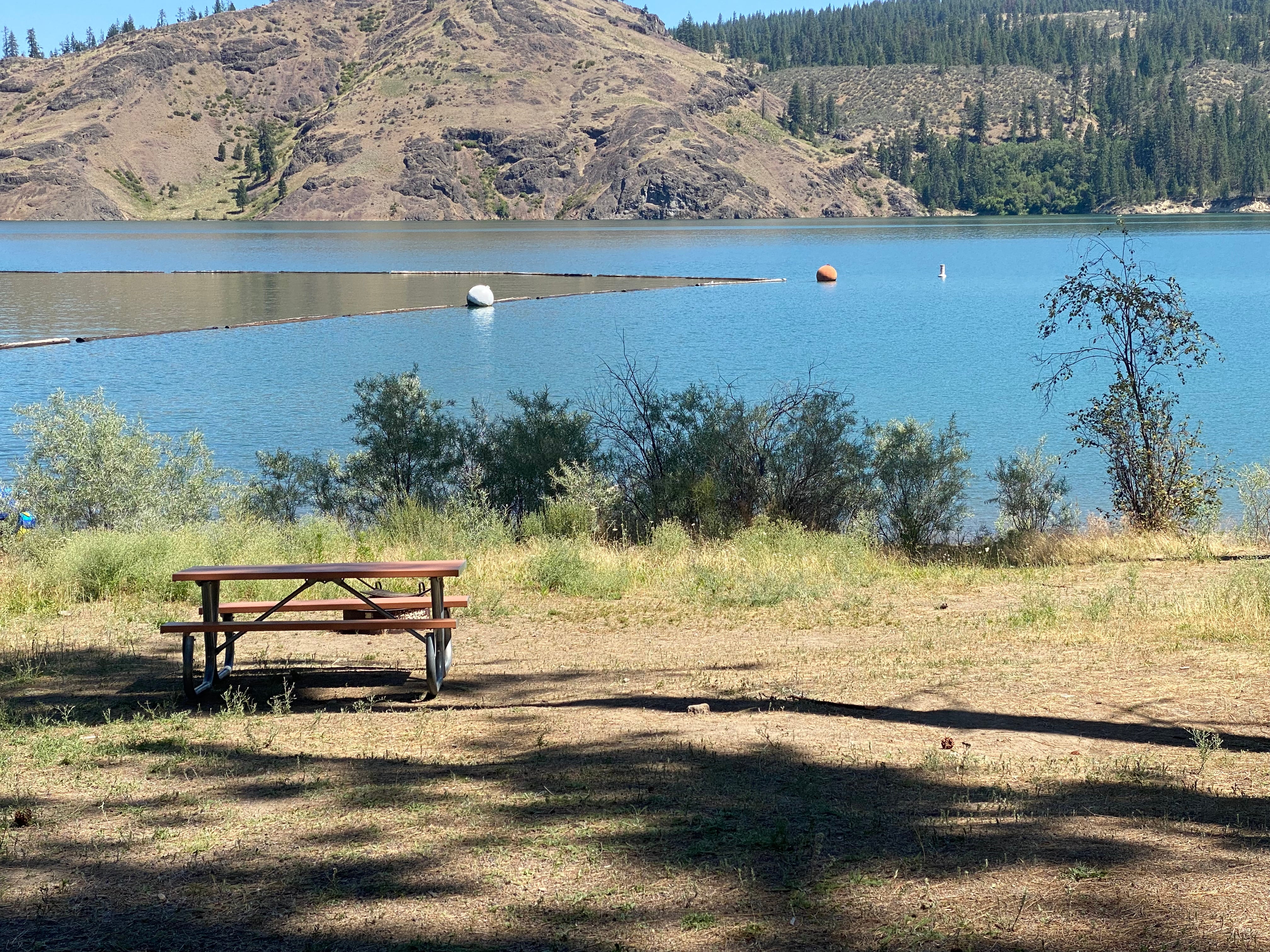 Camper submitted image from Porcupine Bay Campground — Lake Roosevelt National Recreation Area - 4