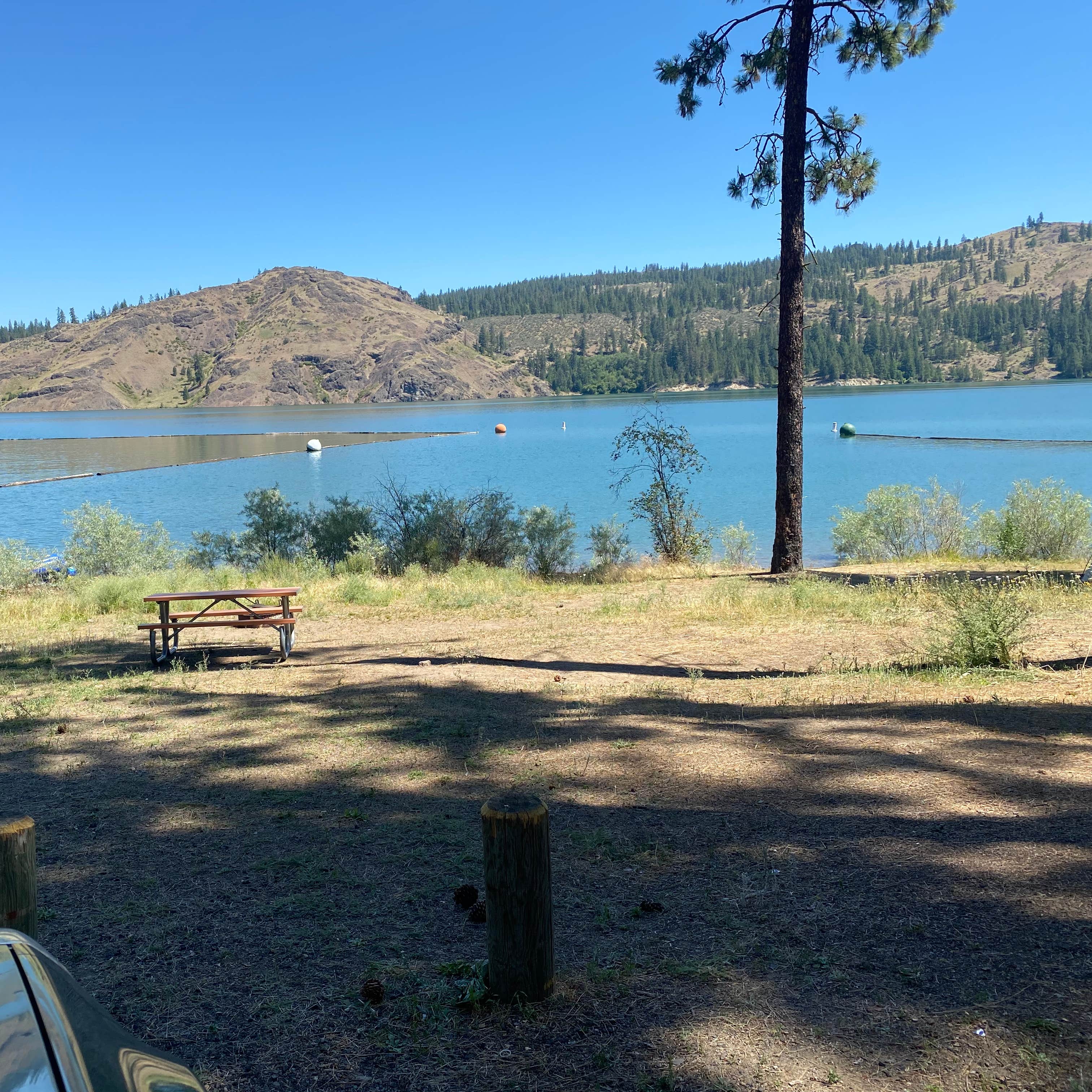 Porcupine Bay Campground Lake Roosevelt National Rec Area Camping The Dyrt