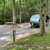 Review photo of Roan Mountain State Park Campground by Shana D., July 18, 2022