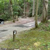 Review photo of Roan Mountain State Park Campground by Shana D., July 18, 2022