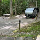 Review photo of Roan Mountain State Park Campground by Shana D., July 18, 2022