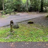 Review photo of Roan Mountain State Park Campground by Shana D., July 18, 2022