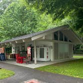 Review photo of Roan Mountain State Park Campground by Shana D., July 18, 2022