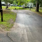 Review photo of Roan Mountain State Park Campground by Shana D., July 18, 2022