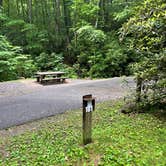 Review photo of Roan Mountain State Park Campground by Shana D., July 18, 2022