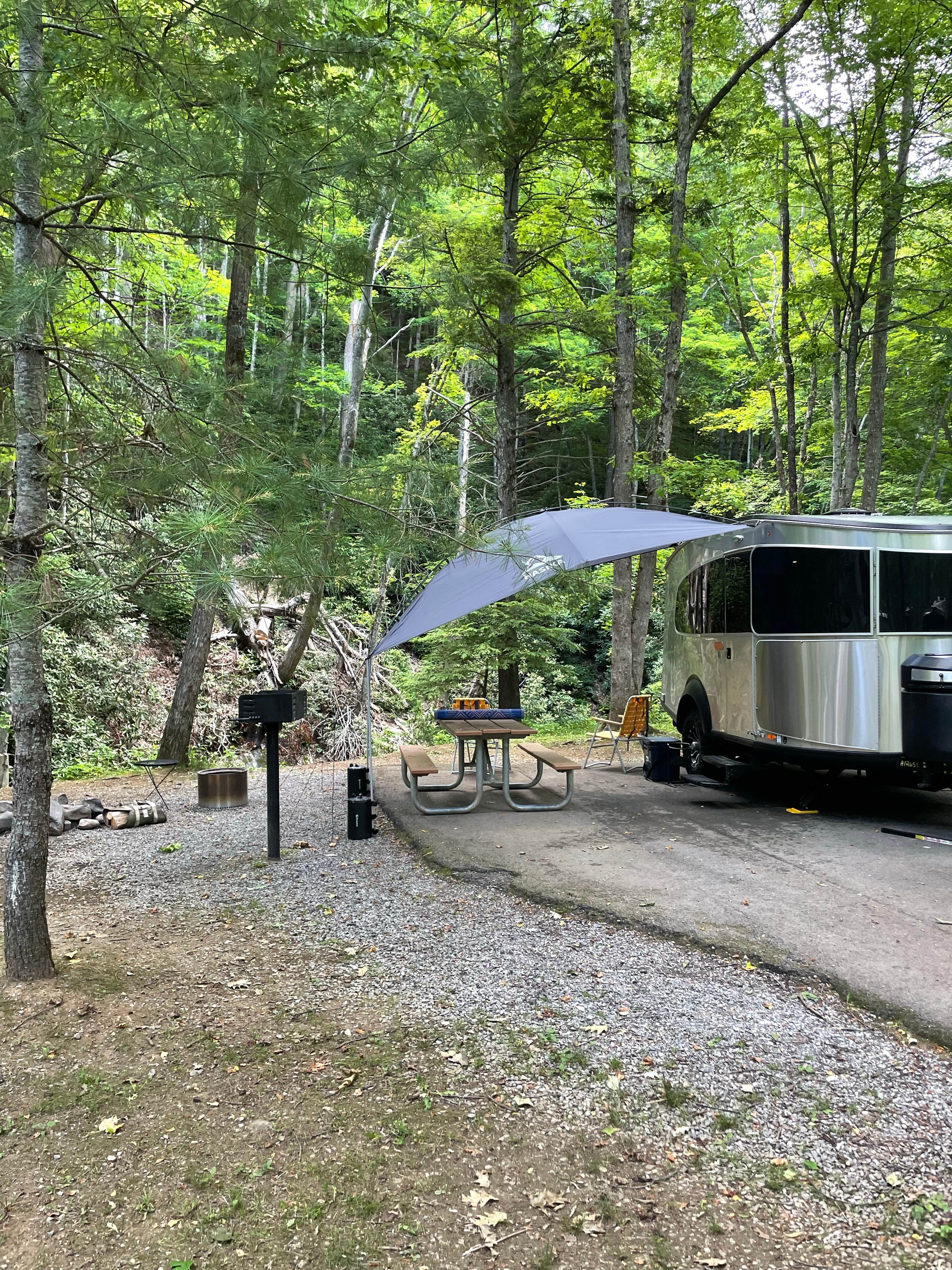 Shana D.'s photo at Roan Mountain State Park Campground in Tennessee