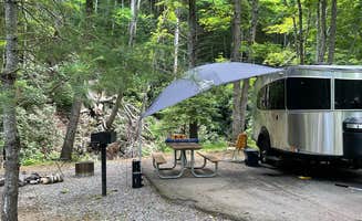 Shana D.'s photo at Roan Mountain State Park Campground in Tennessee