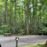 Review photo of Roan Mountain State Park Campground by Shana D., July 18, 2022