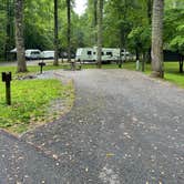 Review photo of Roan Mountain State Park Campground by Shana D., July 18, 2022