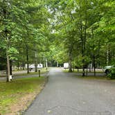 Review photo of Roan Mountain State Park Campground by Shana D., July 18, 2022