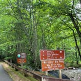 Review photo of Roan Mountain State Park Campground by Shana D., July 18, 2022