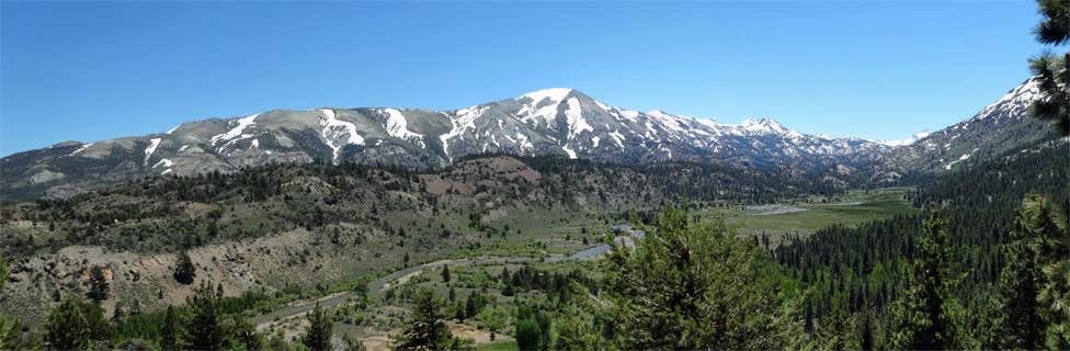 Camping near Desert Creek Campground: Leavitt Meadows — Humboldt Toiyabe National Forest Headquarters, Coleville, California