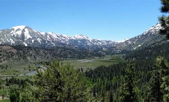 Camping near Bootleg Campground: Leavitt Meadows Campground, Coleville, California