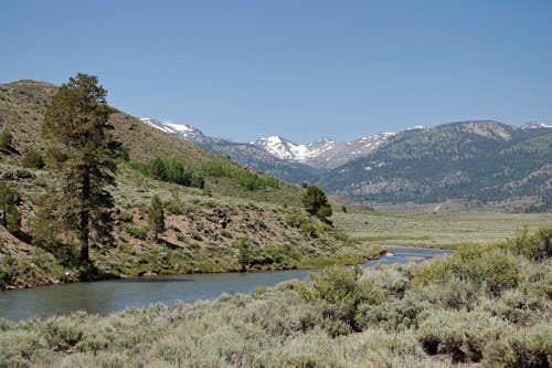 Camper submitted image from Leavitt Meadows — Humboldt Toiyabe National Forest Headquarters - 2