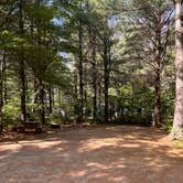 Review photo of Ammonoosuc Campground by Tracey  S., July 18, 2022