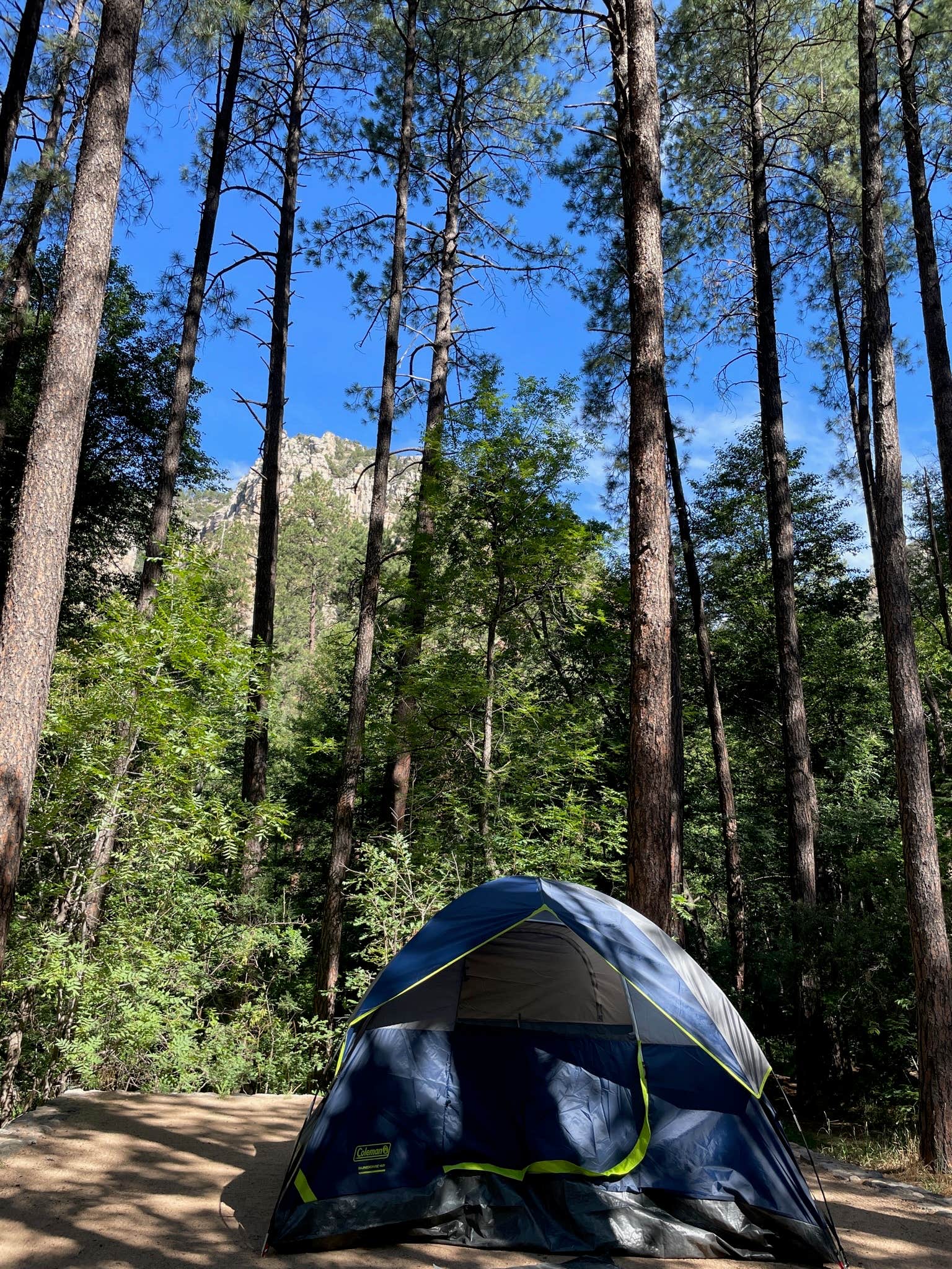 Kelsey S.'s photo at Pine Flat Campground West near Munds Park, AZ