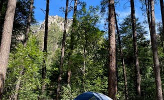 Kelsey S.'s photo at Pine Flat Campground West near Munds Park, AZ