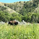 Review photo of Cottonwood Campground — Theodore Roosevelt National Park by Tim G., July 15, 2022