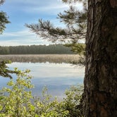 Review photo of Bear Head Lake State Park Campground by Jax L., July 19, 2022