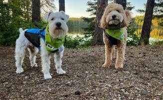 Jax L.'s photo of camping with pets at Bear Head Lake State Park Campground near Eveleth, MN