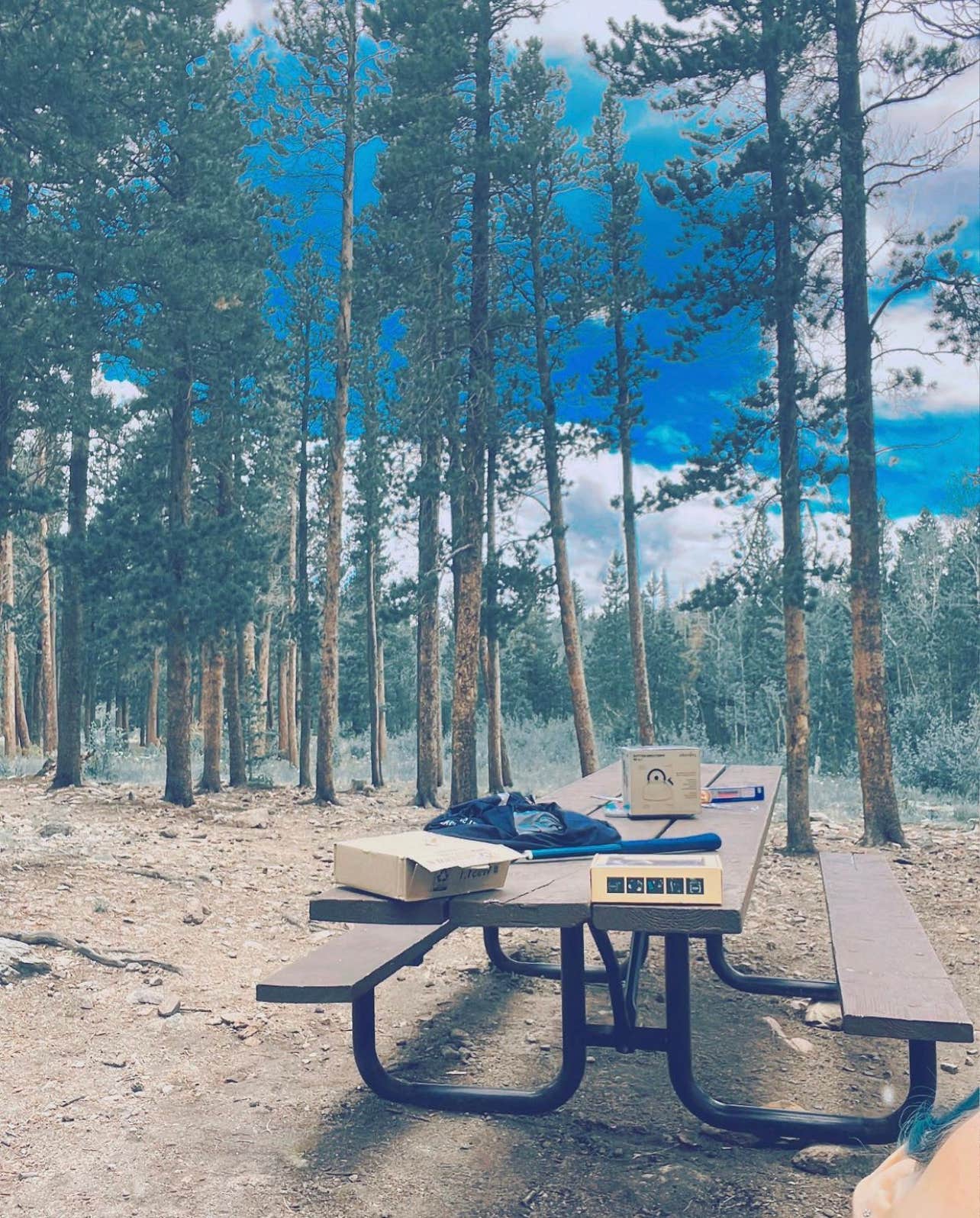 Ivan C.'s photo at Meeker Park Overflow Campground near Allenspark, CO