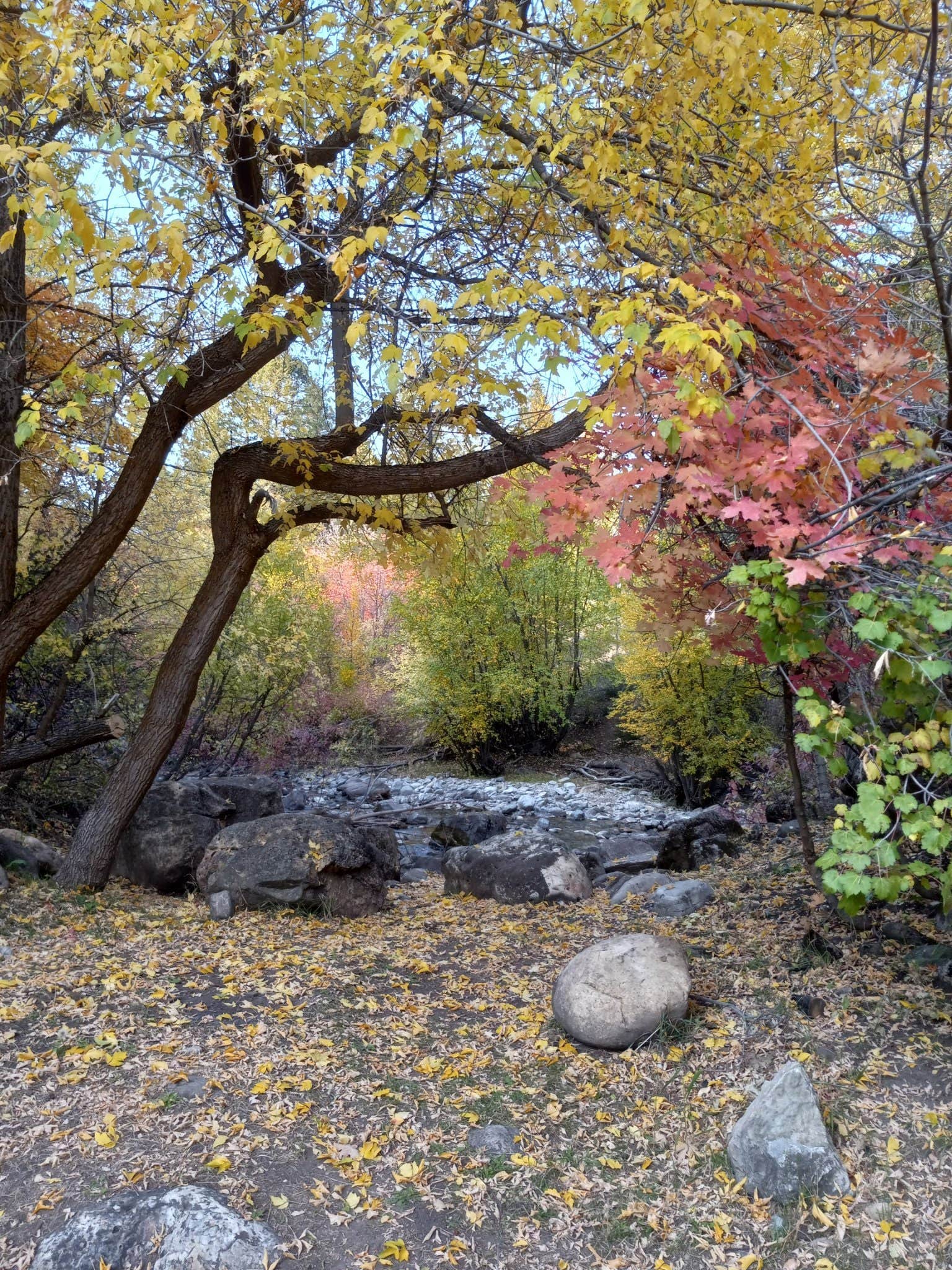 Camper-submitted photo at Cub River Lodge & RV Park, LLC near Bloomington, ID