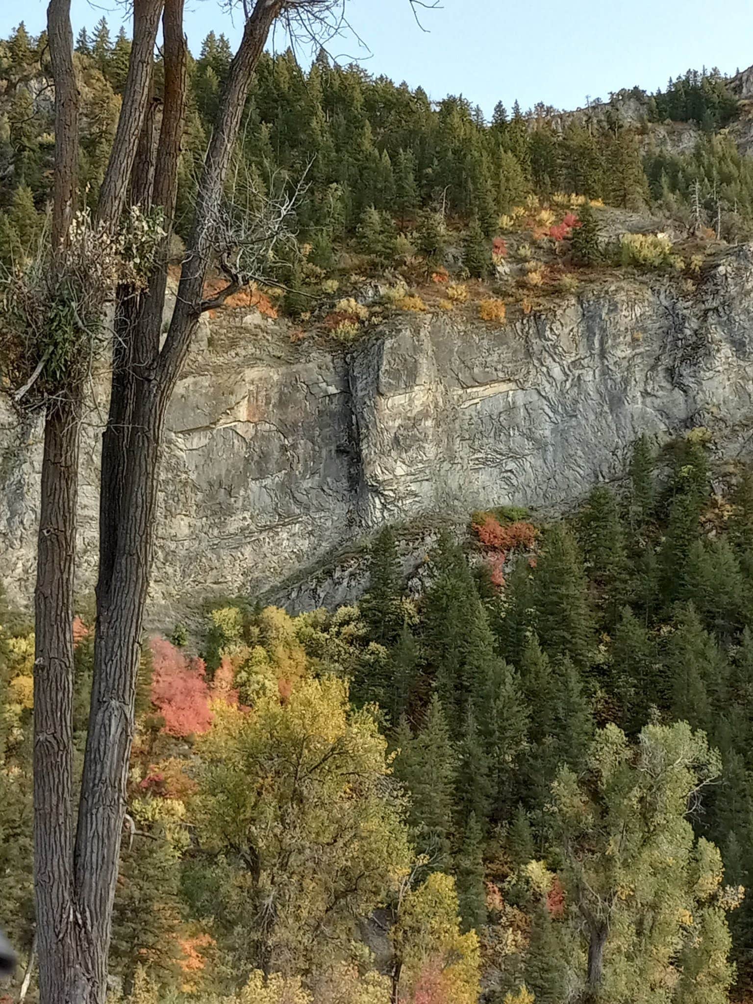 Camper-submitted photo at Cub River Lodge & RV Park, LLC near Howell, UT