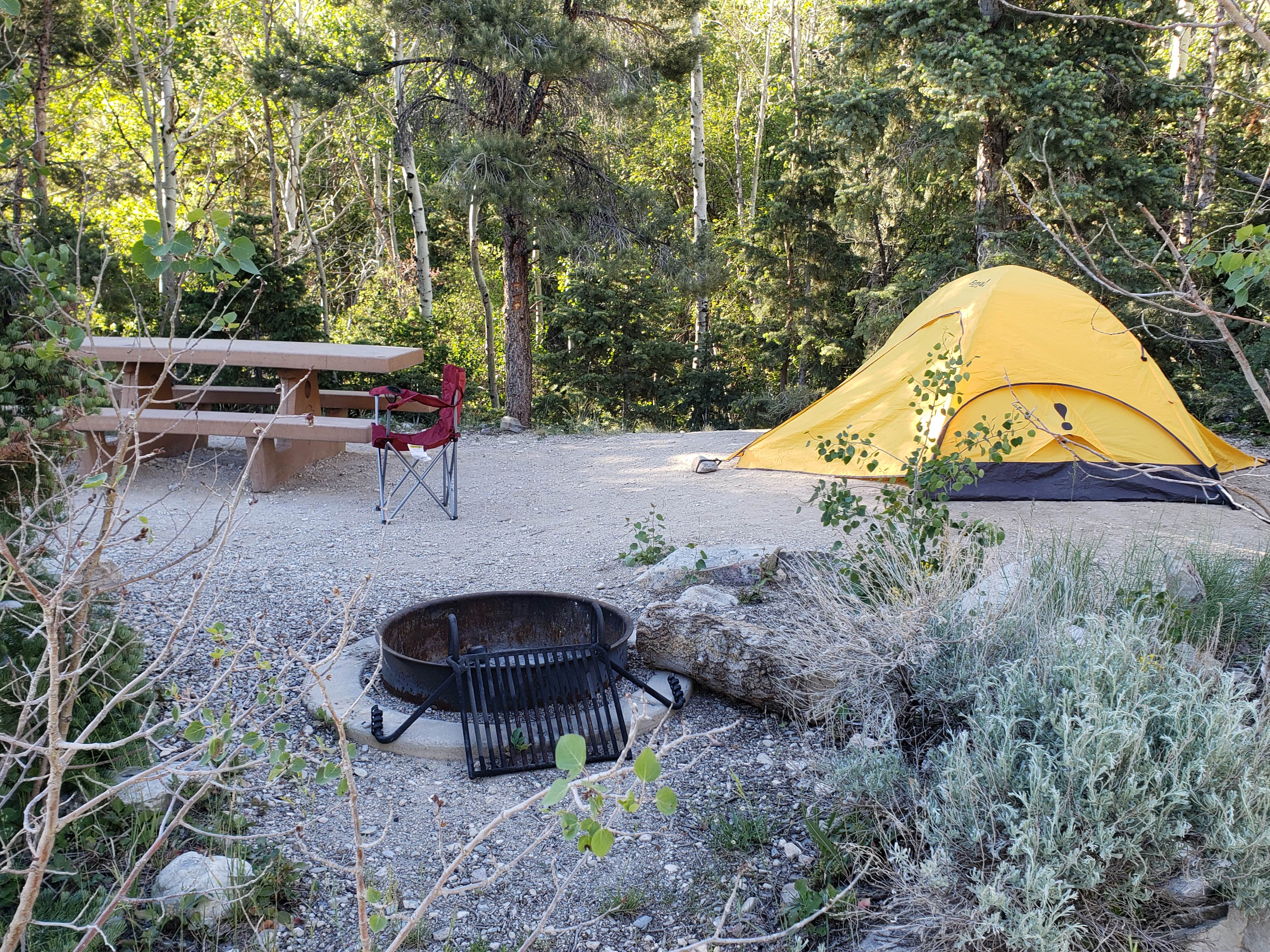 Dexter I.'s photo at Baker Creek Campground — Great Basin National Park near Baker, NV