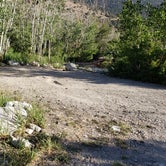 Review photo of Baker Creek Campground — Great Basin National Park by Dexter I., July 19, 2022