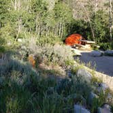 Review photo of Baker Creek Campground — Great Basin National Park by Dexter I., July 19, 2022