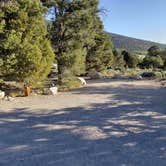 Review photo of Baker Creek Campground — Great Basin National Park by Dexter I., July 19, 2022