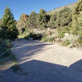 Review photo of Baker Creek Campground — Great Basin National Park by Dexter I., July 19, 2022