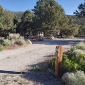 Review photo of Baker Creek Campground — Great Basin National Park by Dexter I., July 19, 2022