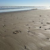 Review photo of Carpinteria State Beach by GotelRV , July 19, 2022