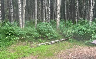 Riley N.'s photo at Rosehip Campground in Alaska