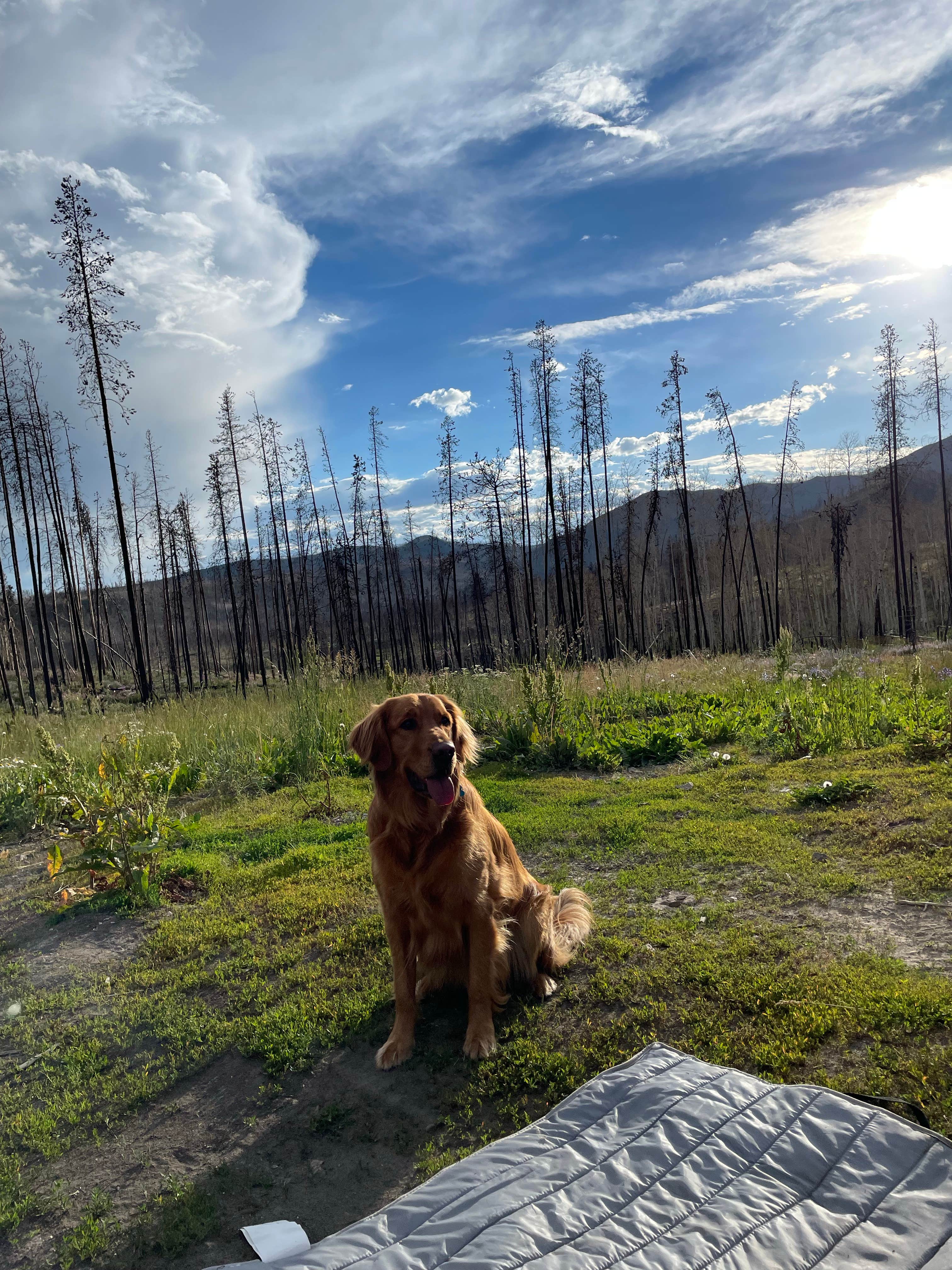 Camper-submitted photo at Stillwater Pass Grand Lake Colorado - Dispersed near Grand Lake, CO