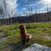 Review photo of Stillwater Pass Grand Lake Colorado - Dispersed by Alec , July 19, 2022