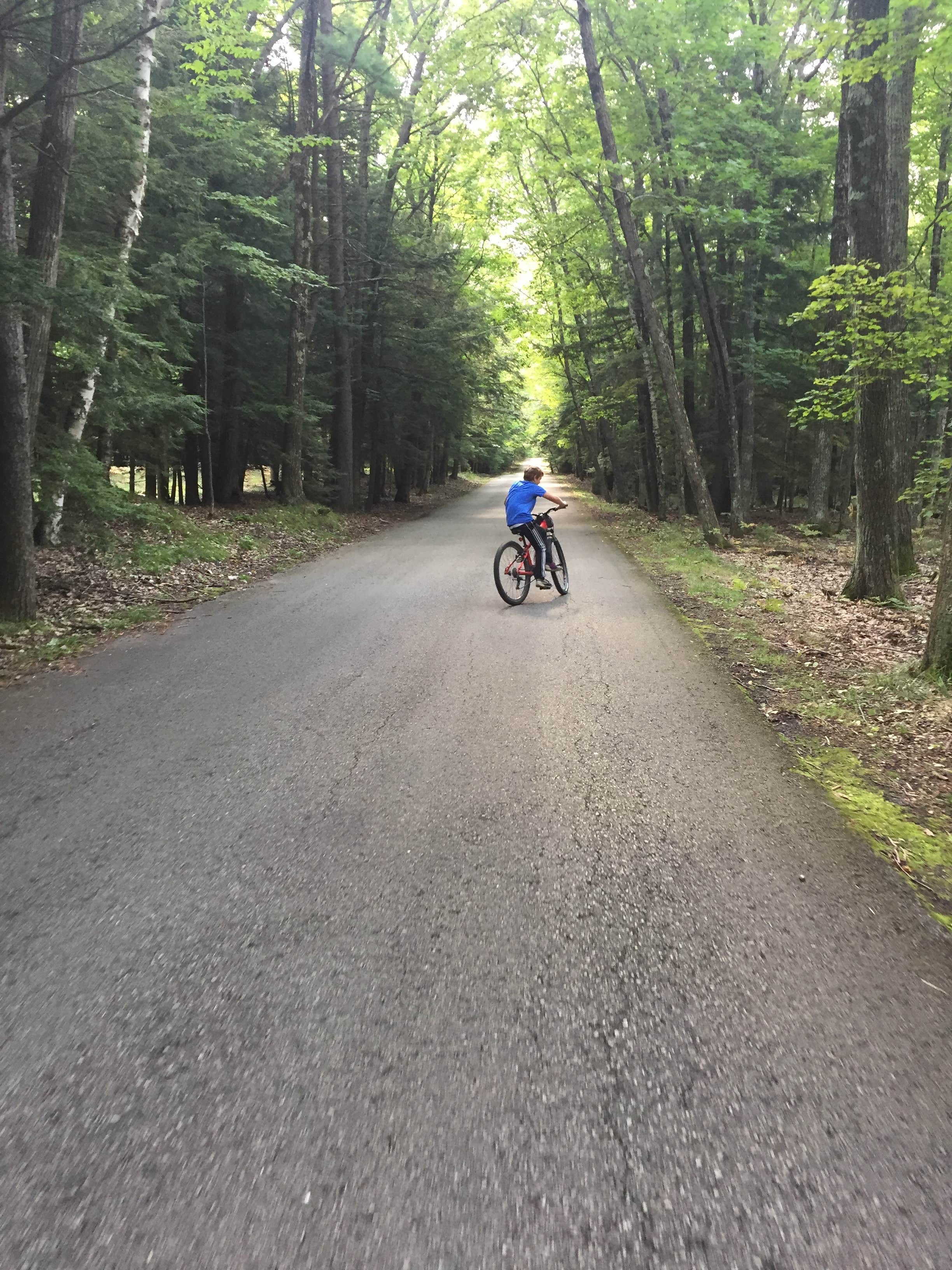 Camper submitted image from North Nicolet Bay Campground — Peninsula State Park - 4