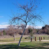 Review photo of Lake Morena County Park by Renee C., July 19, 2022