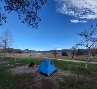 Camper-submitted photo from Lake Morena County Park