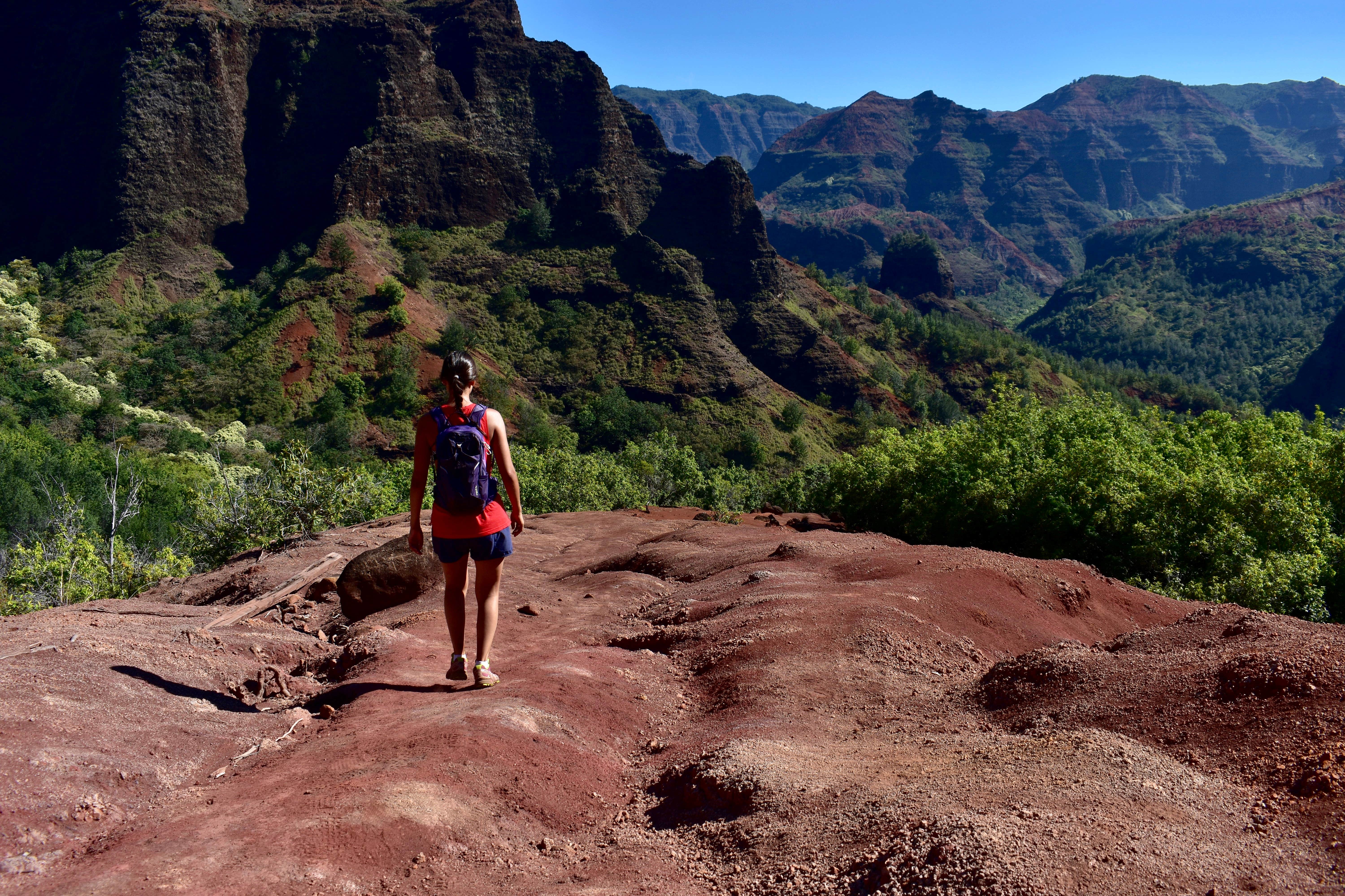 Camper submitted image from Koaie Primitive - Kokee State Park - Kauai - 4