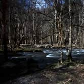 Review photo of Elkmont Group Campground — Great Smoky Mountains National Park by John C., July 19, 2022