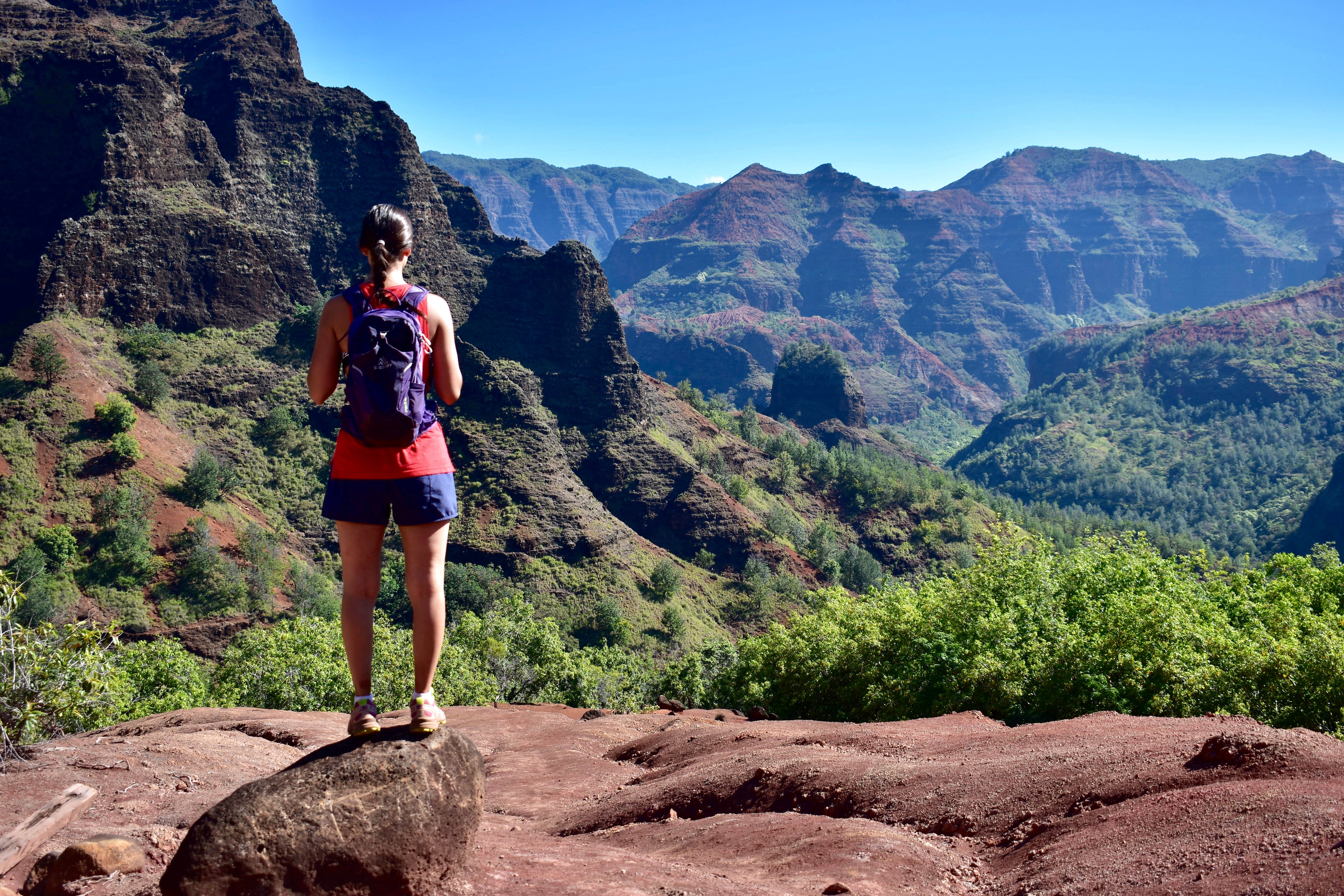 Camper submitted image from Koaie Primitive - Kokee State Park - Kauai - 4