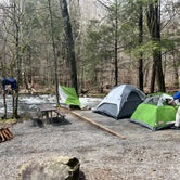 Review photo of Elkmont Group Campground — Great Smoky Mountains National Park by John C., July 19, 2022
