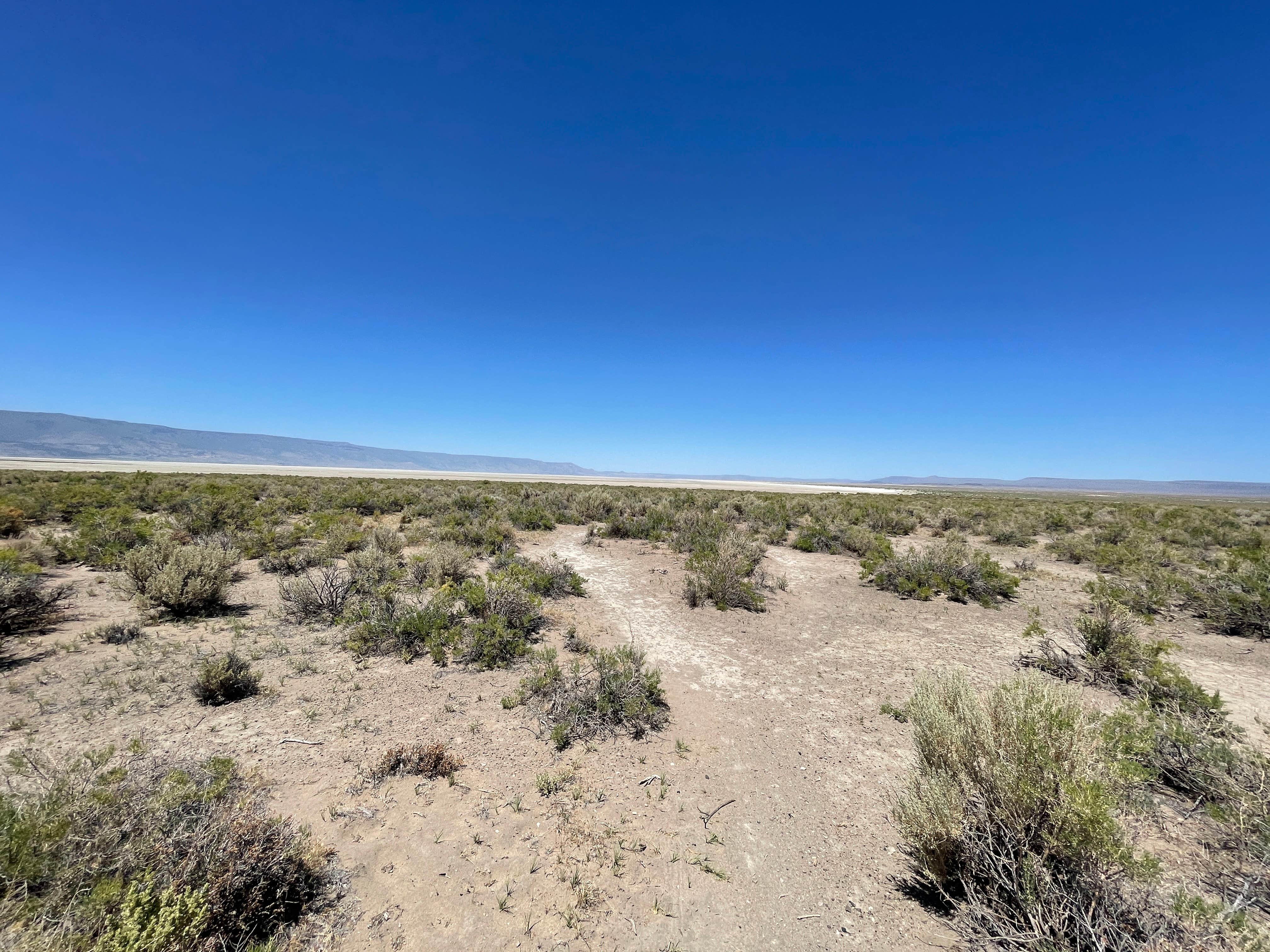Summer Lake Hot Springs