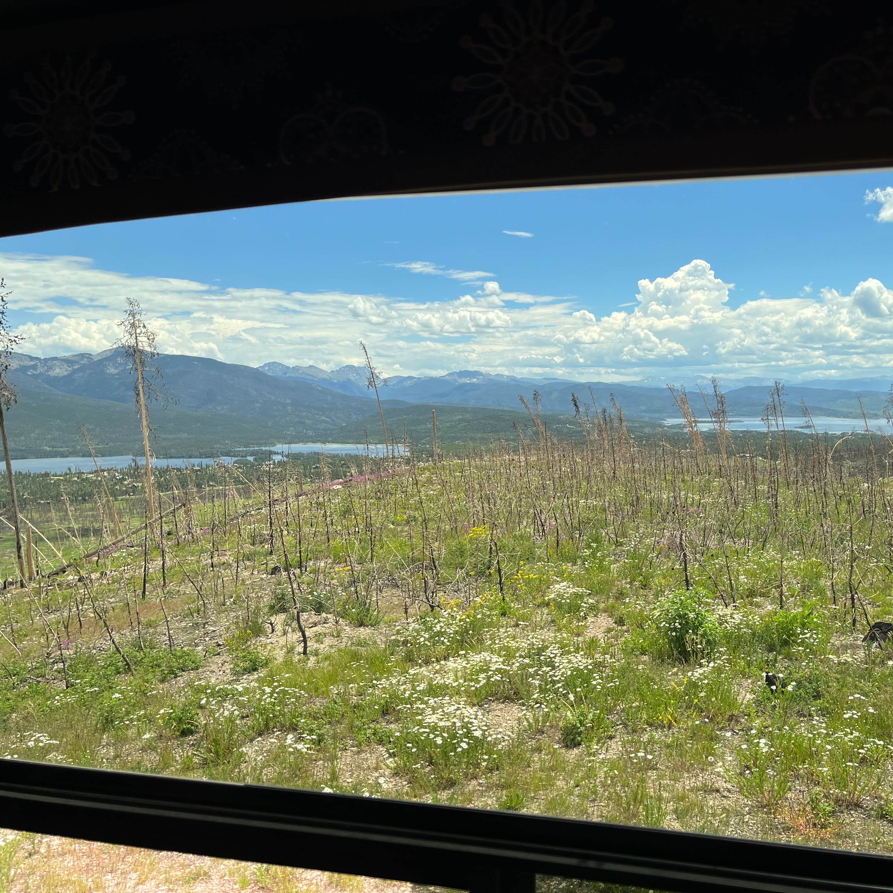 NFSR 120 Dispersed Site Arapaho National Forest Camping The Dyrt