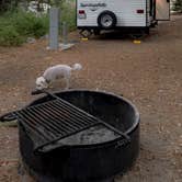 Review photo of Idyllwild Campground by Jeffrey F., July 19, 2022