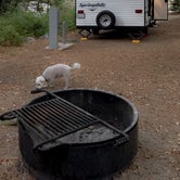 Review photo of Mount San Jacinto/Idyllwild State Park Campground by Jeffrey F., July 19, 2022