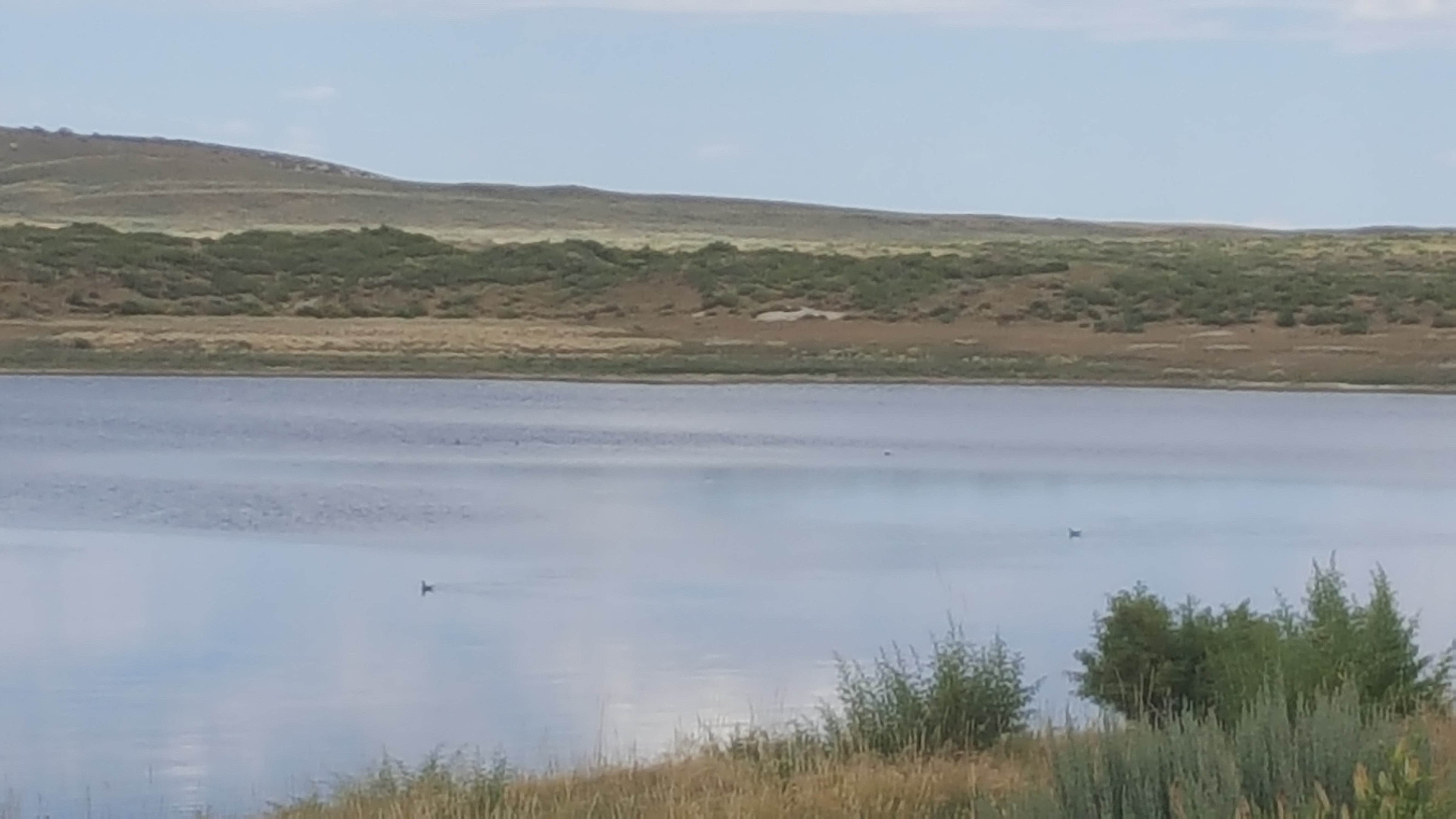 Camper submitted image from Rim Lake - DAY USE ONLY - 3